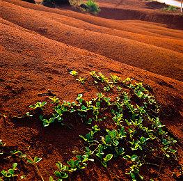 《质量效应3》开发者复盘：结局伤害了所有人